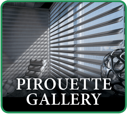 Hunter Douglas Pirouette Window Treatment Gallery in Southlake, Texas (TX)