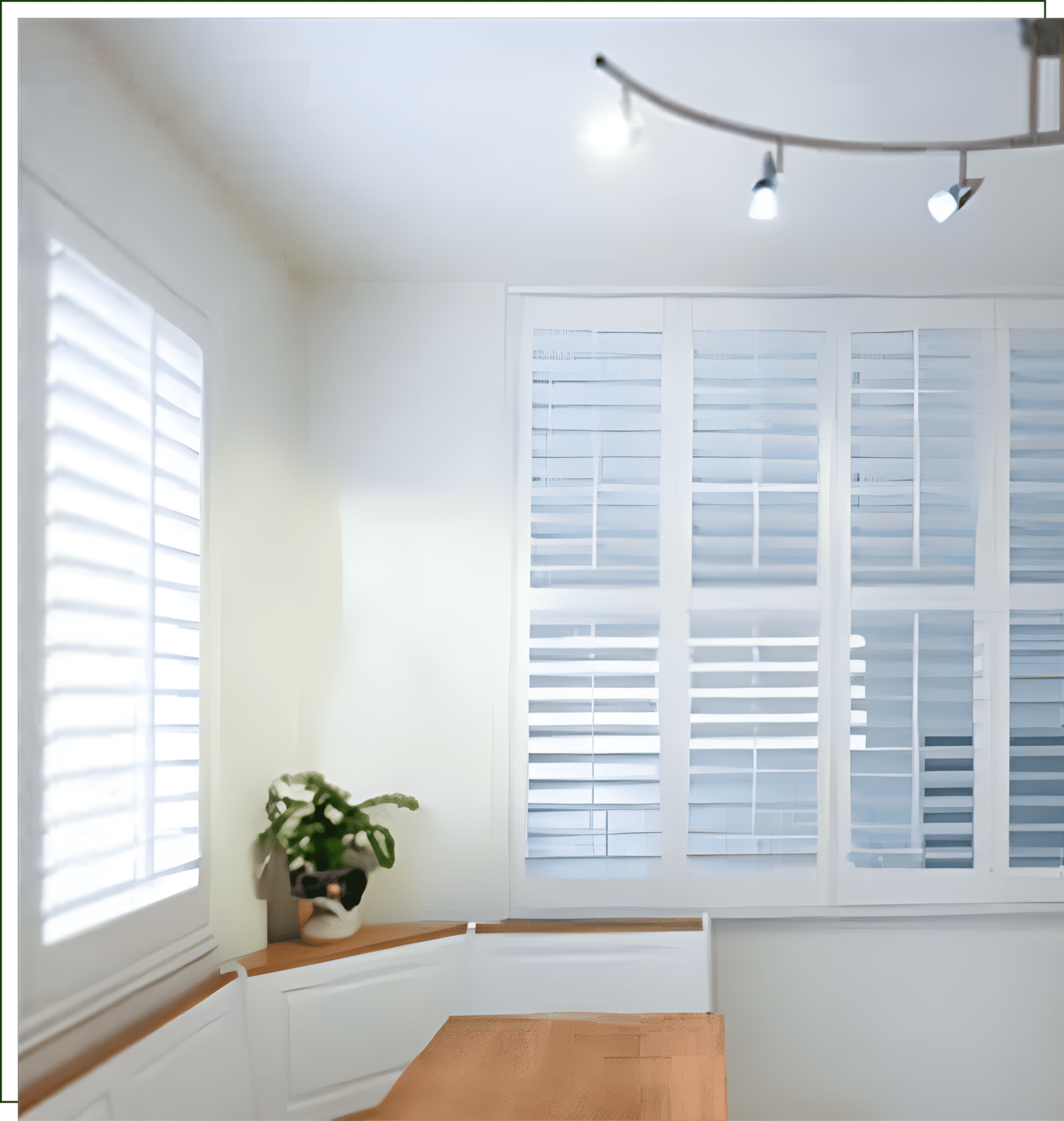 A room with white shutters and a plant.
